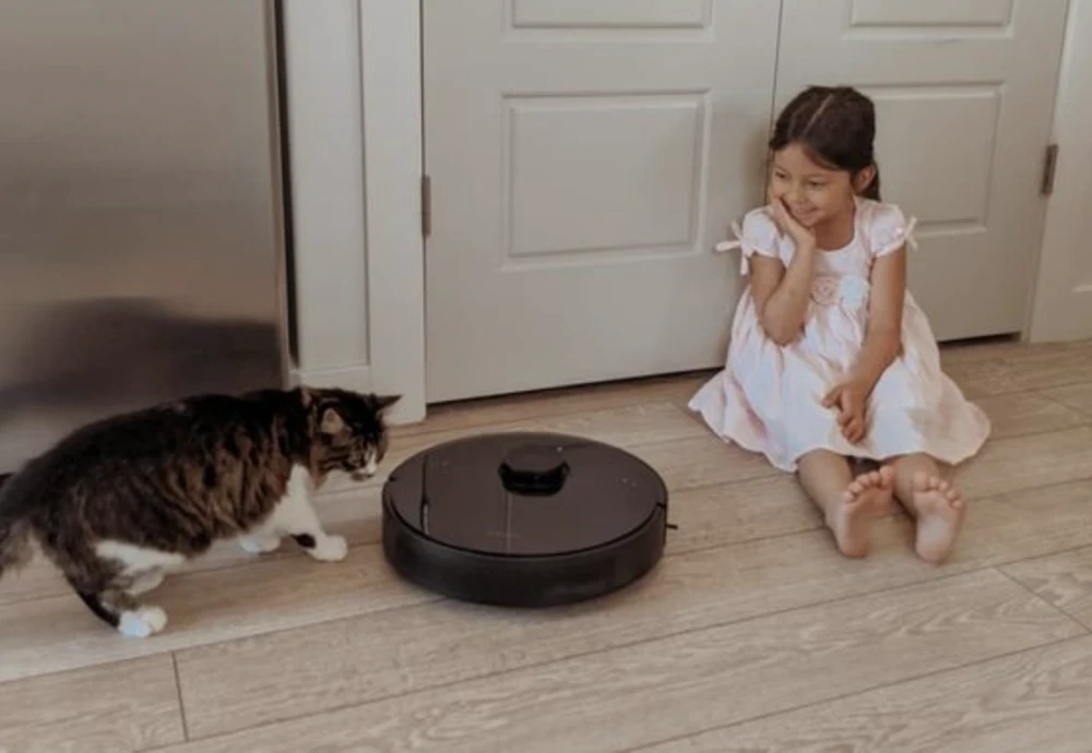 robot vacuum cleaner with smart mapping system