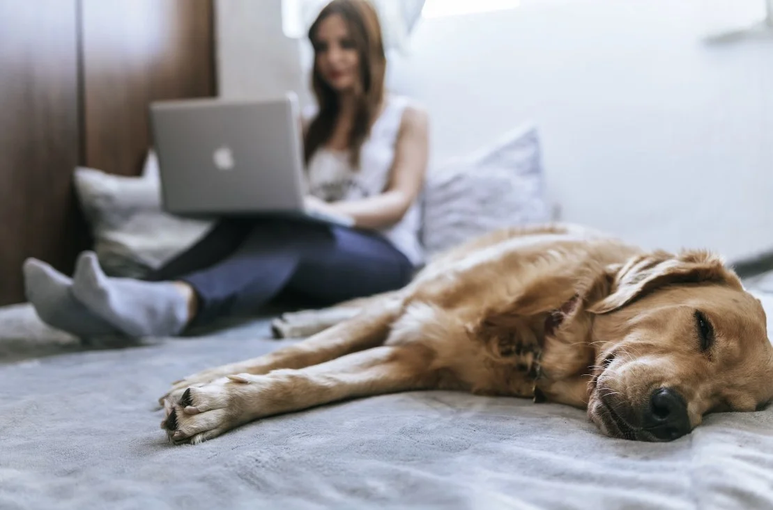 best adjustable smart bed